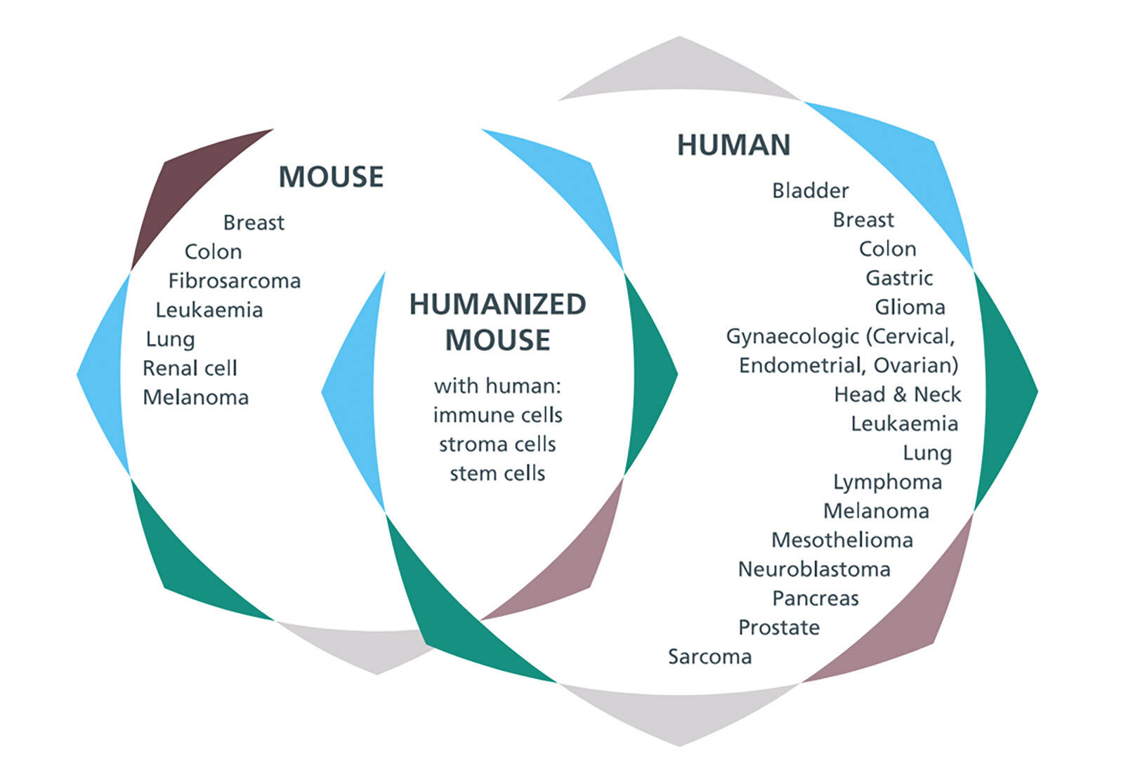 Highly Characterized with: Proteomic, Transcriptomic, Molecular, and Treatment Response data