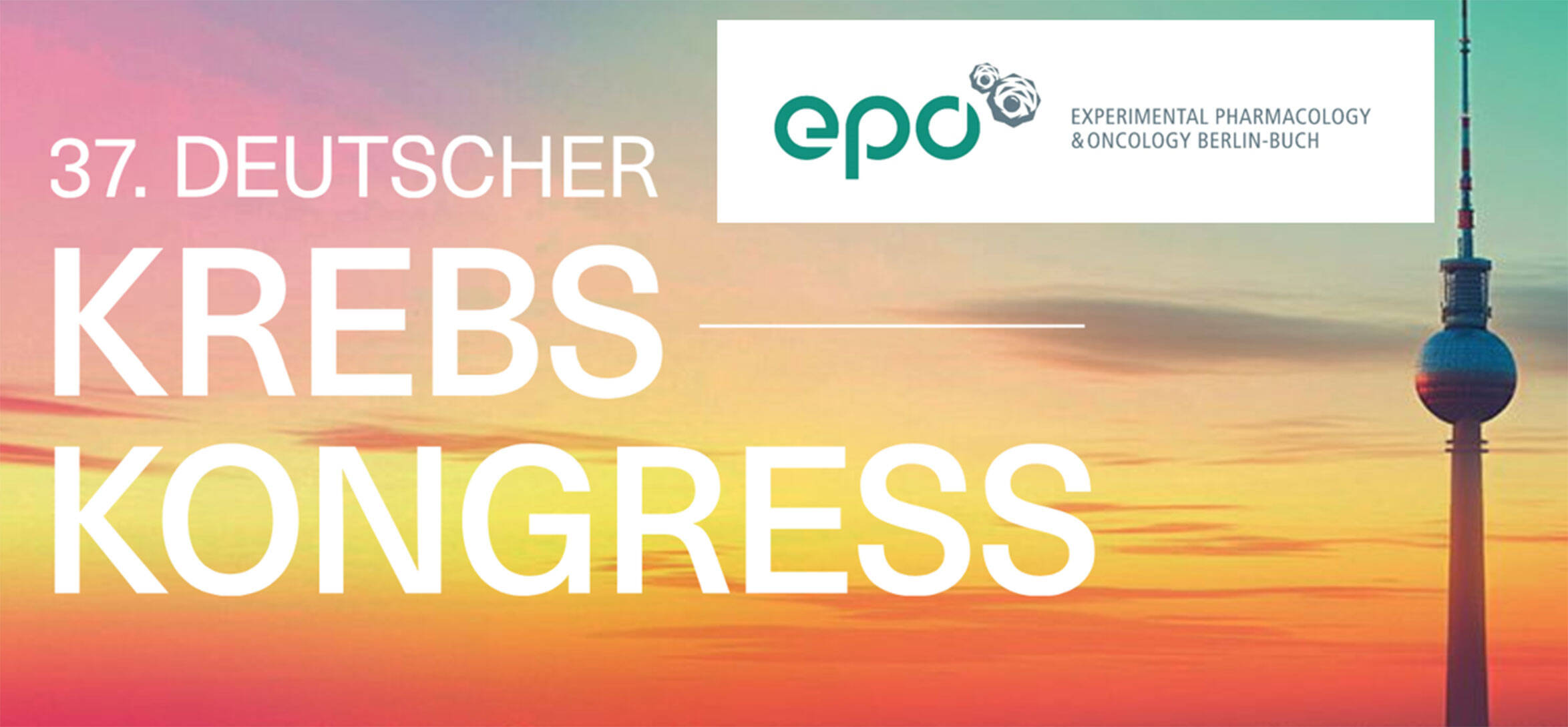 Decorative image: Newsletter February 2026